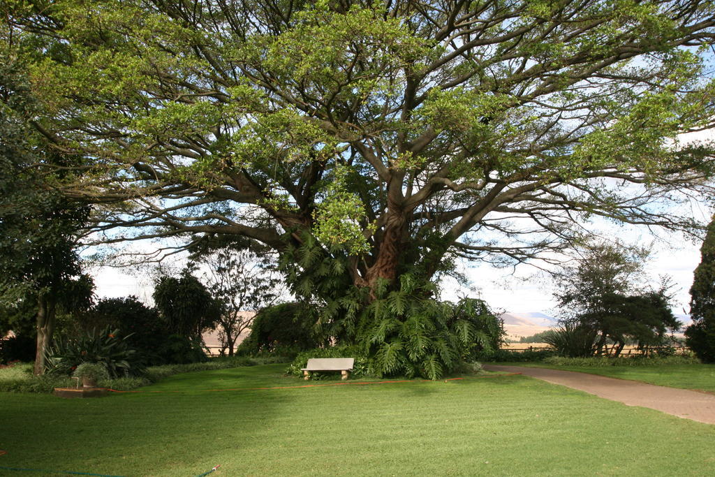 Dusk To Dawn Guesthouse Piet Retief Buitenkant foto